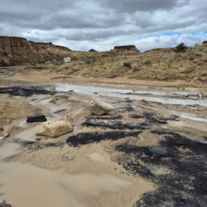 WhatsApp Image 2025-12-07 at 10.45.50_4b87d33c